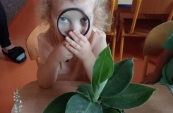 IMG20240916094101 